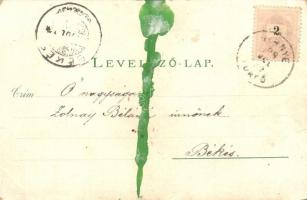 1898 Vihnye, Kúpele Vyhne; fürdők és villák / spas and villas. Joerges N. 1202. Art Nouveau, floral,...