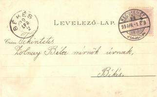 1899 Kecskemét, Városháza, Fő piac tér, Szentháromság szobor, katolikus Plébánia templom. Fekete Mih...