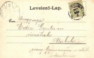 1902 Rimaszombat, Rimavská Sobota; Takarékpénztár, Városháza. Kiadja Lévai Izsó / savings bank, town...