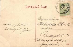 1906 Trencsénteplic, Trencianske Teplice; látkép, templom. Kiadja Wertheim Zsigmond / general view, ...