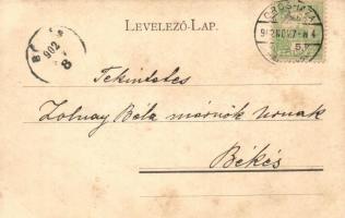 1902 Torna, Abaúj-Torna, Turnau, Turna nad Bodvou; Tornai vár, kastély, Megyeháza, Városháza. Kaphat...