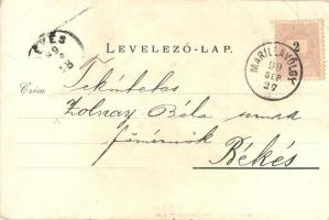 1899 Marilla, Marila; Vízesés, Hegyszoros. Julius Gross kiadása / waterfall, mountain pass. floral  ...