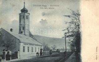 1906 Nagyszőlős, Vynohradiv (Vinohragyiv), Sevlus; Római katolikus templom, Ugocsai Központi Könyvnyomda, utcakép / church, Ugocsa county central printing house, street view