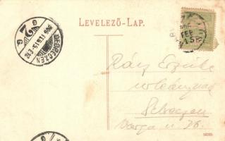 1906 Nagyszőlős, Vynohradiv (Vinohragyiv), Sevlus; Római katolikus templom, Ugocsai Központi Könyvny...