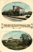 1913 Nagyszentmiklós, Sannicolau Mare; Gróf Nákó kastély / castle. Art Nouveau (fa)