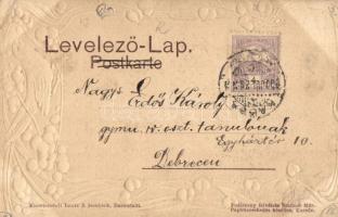 1900 Kassa, Kosice; dóm és Szabadság tér. Dombornyomott szecessziós keret madárral. Podleszny felvét...