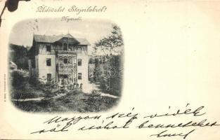 1899 Stájerlak, Steierdorf (Anina); Erzsébet nyaraló / villa