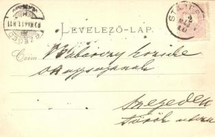 1899 Stájerlak, Steierdorf (Anina); Erzsébet nyaraló / villa