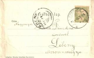 1904 Kapi, Kapusany (Eperjes vidéke / near Presov); várrom. Cattarino Sándor kiadása / Kapusiansky h...