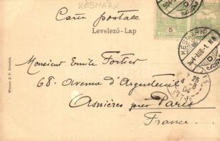 1904 Késmárk, Kezmarok; Thököly vár "Törvényileg védve". Wiesner J.F.  kiadása / Schloss /...