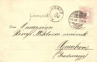 1899 Kovácspatak, Kovacov (Esztergom); Dunaparti nyaralók / Danube riverside villas (EM)