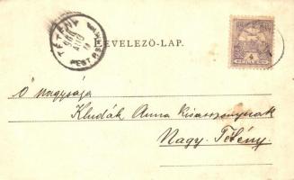 1900 Párkány, Stúrovo; Hungária szálloda, kávéház és étterem, Sörcsarnok és pálinka raktár, Steiner ...