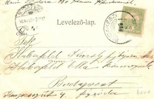 1904 Budakeszi, Kálvária (Calvaria) hegy, villa. Kiadja Stern Jakab