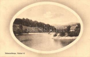 1917 Selmecbánya, Schemnitz, Banska Stiavnica; Halicsi tó / Halic lake (EK)