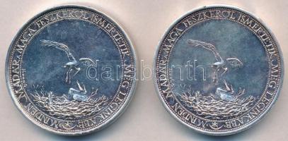 1985. "Minden madár a maga fészkéről ismertetik meg a leginkább / XX. Országos Ifjúsági Képzőmű...