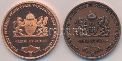 Bozó Gyula (1913-2004) DN "Gr. Széchenyi István - A legnagyobb magyar / Budapest Főváros Közgyű...