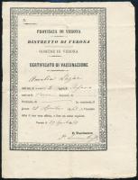 1868 Genovai oltási bizonyítvány magyar ember részére / Genova vaccination id. 18x24 cm