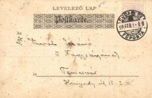 1899 Coeur Dame. Theo Stroefer's Kunstverlag - Postkarte der Modernen Nr. 5534. Unsigned Raphae...