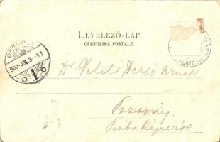 1900 Fiume, Via del Molo / kikötő, gőzhajók / port, steamships (fa)