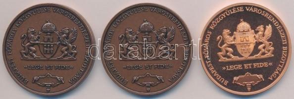 Bozó Gyula (1913-2004) DN "Gr. Széchenyi István - A legnagyobb magyar / Budapest Főváros Közgyű...