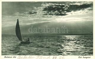 30 db főleg MODERN magyar hajós motívumlap / 30 mostly modern Hungarian ship motive postcards