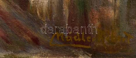 Nádler jelzéssel: Boltíves romok. Olaj, vászon, 40×30
 cm