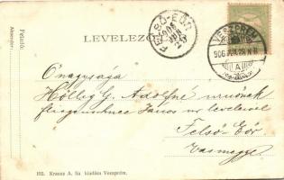 1906 Veszprém, Fő tér, Városháza, piaci árusok, üzletek. Kiadja Krausz A. fia 192. (apró lyukak / ti...