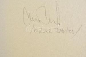 Orosz Balázs (1963-): A sunny city. Akril, vászon, jelzett, 70×50 cm