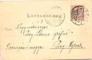 1899 Pécs, Balokány liget, tó. Kiadja Schönwald Imre (EK)