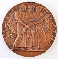 Reményi József (1887-1977) 1928. "A M Kir Vallás és Közoktatásügyi Miniszter Dija / Országos Da...