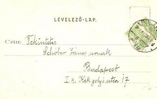 1905 Budapest VIII. Nemzeti Tornaegylet csarnoka, belső. Erdélyi cs. és kir. udvari fényképész kiadá...