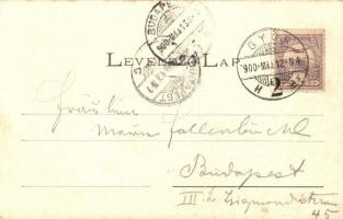 1900 Győr, Révfalu (Réhfalu), Prankl Károly utóda Fakereskedése, hajóhíd (ponton híd). Berecz Viktor...