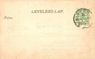 1909 Győr, Révfalu (Réhfalu), másik oldal. Polgár Bertalan S.L. 4142. kiadása