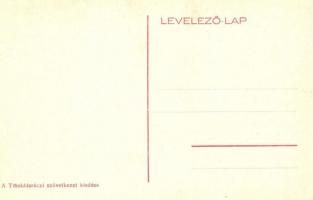 Tibolddaróc, tájkép és katolikus iskola. Kiadja a Tibolddaróczi szövetkezet