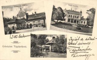 1915 Táplánfa (Táplánszentkereszt), Rosenberg és Széll kastély, malom. Háber H. fényképész felvétele és kiadása