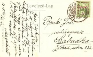 1915 Táplánfa (Táplánszentkereszt), Rosenberg és Széll kastély, malom. Háber H. fényképész felvétele...