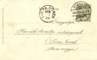 1902 Szatmárnémeti, Szatmár, Satu Mare; Pannonia szálloda, Halász Mór üzlete. Kiadja Reizer János / ...