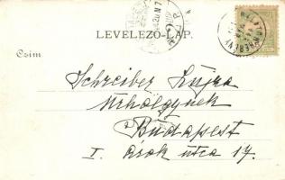 1905 Balatonberény, vasútállomás. Fischl Jakab és fia kiadása / Bahnhof / railway station