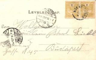 1900 Horány (Szigetmonostor), Horányi csárda, Szentendrei sziget. Kiadó a Sződrákosi és gödi tégla- ...