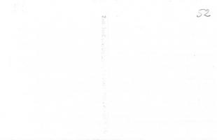 1940 Nagyszalonta, Salonta; Országzászló avatás a Központi szálloda előtt, Minerva áruház, Kiss Jáno...