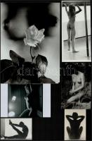 Kellemes órák hozadéka, szolidan erotikus felvételek, 9 db vintage negatív + 8 db vintage fotó és/va...