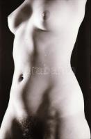 Exponálós témák, szolidan erotikus felvételek, 12 db vintage negatív + 9 db vintage fotó és/vagy mai...