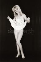 Sejtelmes nappalok és éjszakák, szolidan erotikus felvételek,  9 db vintage negatív + 8 db vintage f...