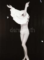 Sejtelmes nappalok és éjszakák, szolidan erotikus felvételek,  9 db vintage negatív + 8 db vintage f...