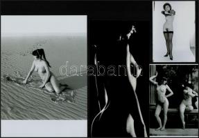 Örök emlékül, szolidan erotikus felvételek, 8 db vintage negatív + 10 db vintage fotó és/vagy mai na...