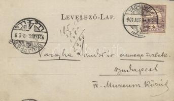 1901 Csejte, Cachtice; Drughetovska Kúria. Rexa Dezső irodalomtörténész, levéltáros, helytörténész, ...