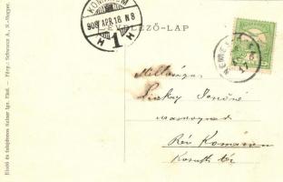 1908 Ekel, Okolicná na Ostrove; utcakép, Református templom, Kelner Ignácz üzlete és saját kiadása /...