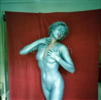 Váratlan találkozások, szolidan erotikus felvételek, 7 db vintage negatív + 8 db vintage fotó és/vag...