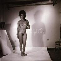 Váratlan találkozások, szolidan erotikus felvételek, 7 db vintage negatív + 8 db vintage fotó és/vag...