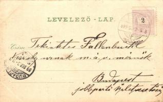 1899 Zsolna, Sillein, Zilina; Cs. kir. Szab. Kassa-Oderbergi vasút, vasútállomás gőzmozdonnyal, Pály...